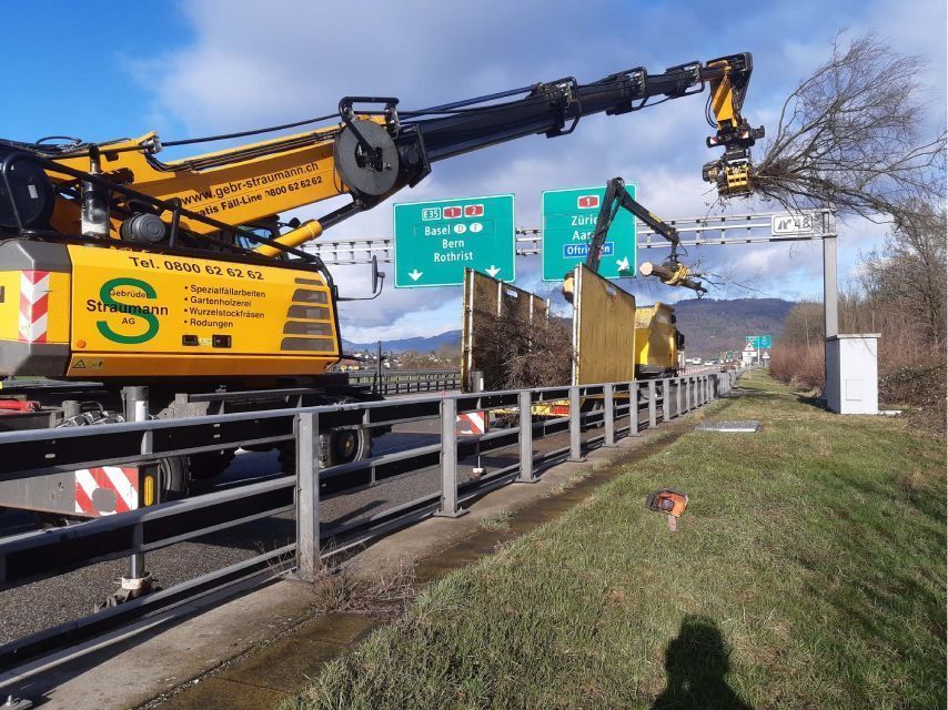 Gebrüder Straumann AG entfernt Baumwuchs