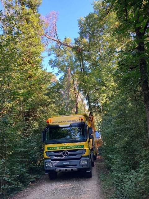 Maschine der Gebrüder Straumann AG