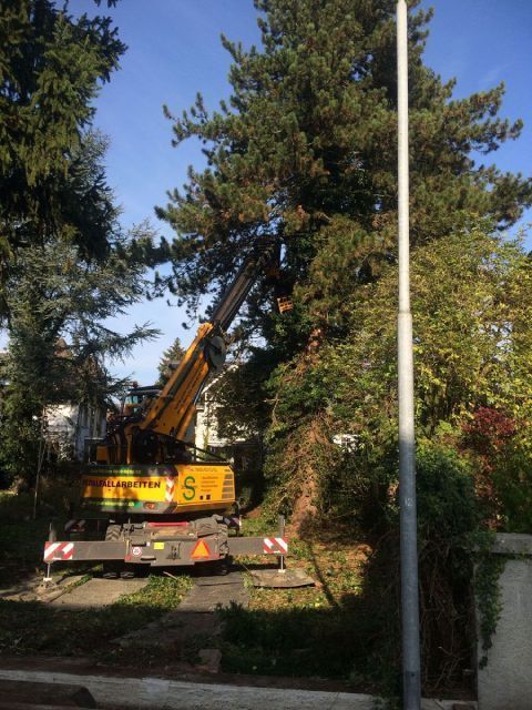 Maschine der Gebrüder Straumann AG