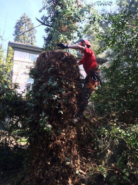 Mitarbeiter der Gebrüder Straumann AG 