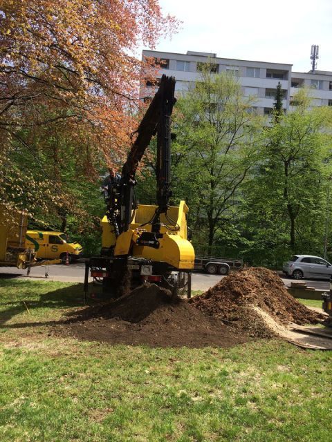 Maschine der Gebrüder Straumann AG