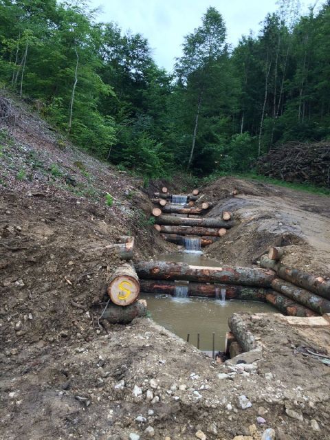 Fluss mitten im Wald