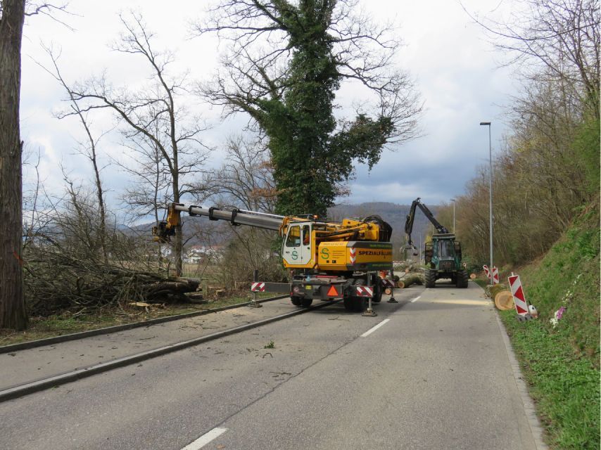 Maschine der Gebrüder Straumann AG