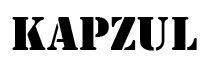 Logo KAPZUL en police sans empattement, en gras.