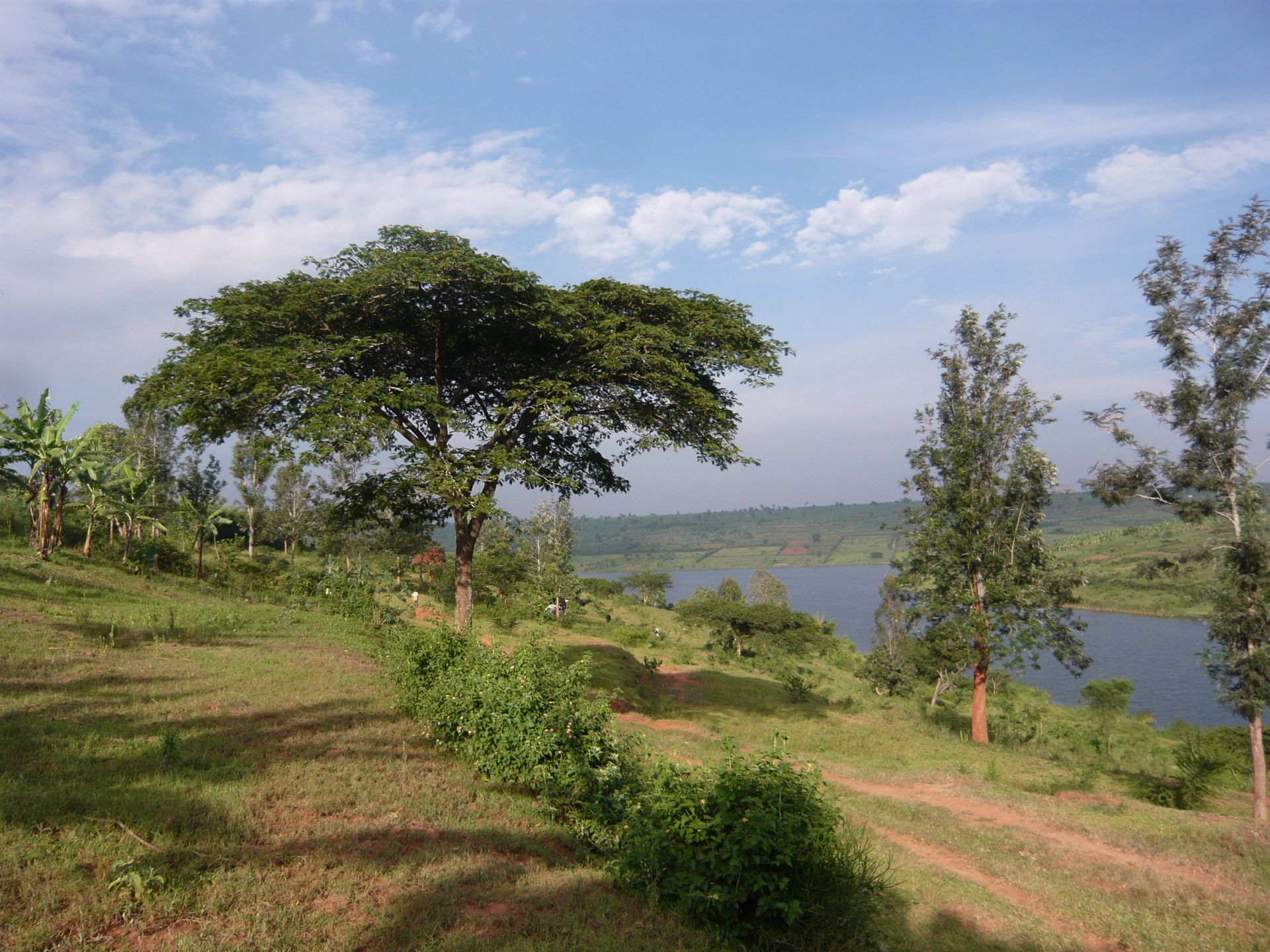 Installation artistique réfléchissante noire avec vue sur les arbres et le ciel à travers l'ouverture.