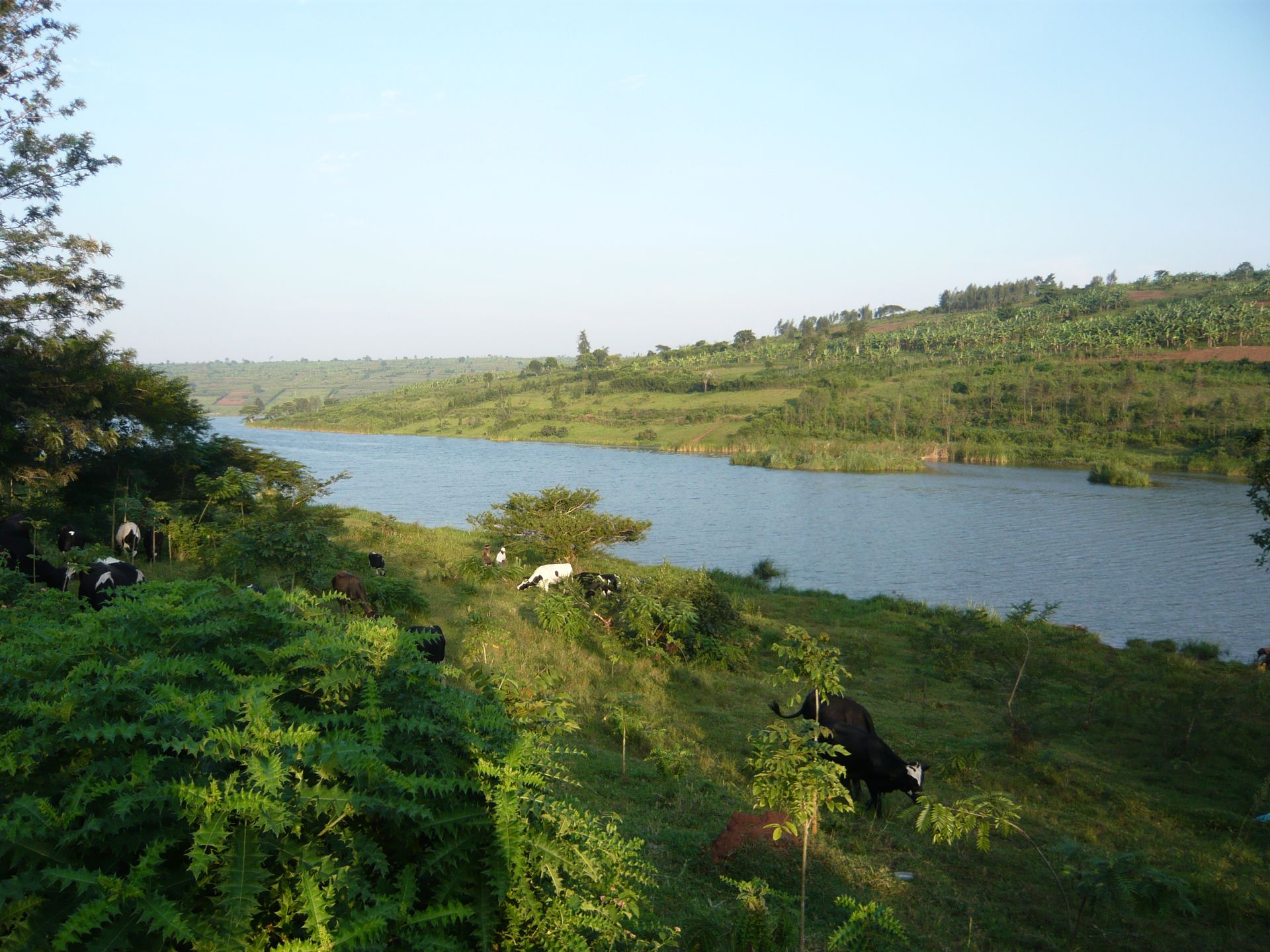 Bâtiment moderne avec un pont en arrière-plan. Voitures garées sous un auvent de panneaux solaires. Ciel bleu.