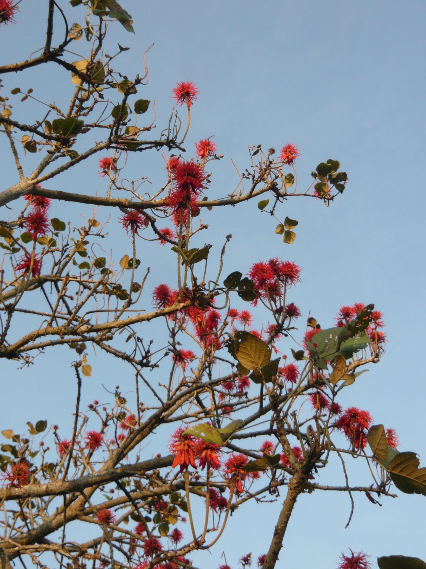 Chantier de construction avec des bâtiments en béton inachevés et une grue près d'une rivière.