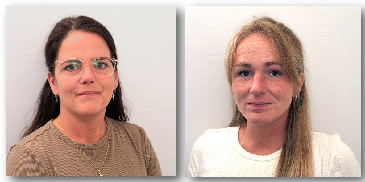 Ansprechpartner Steele