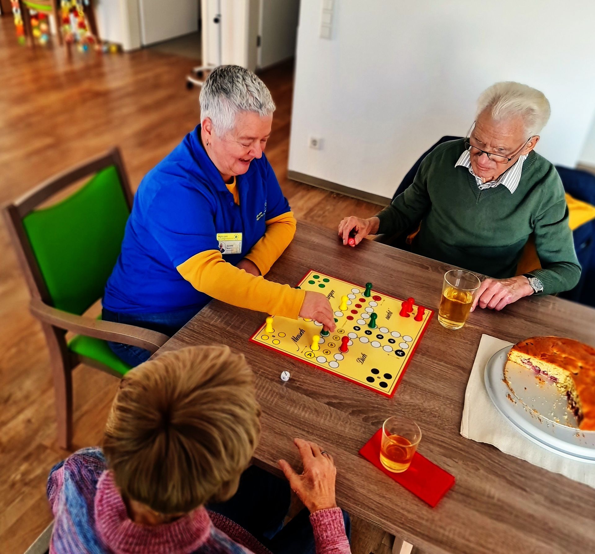 Mensch ärger dich nicht spielen