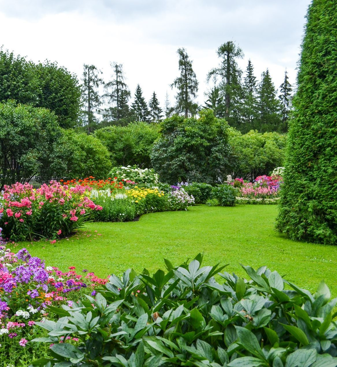Un jardin avec des fleurs et une pelouse.