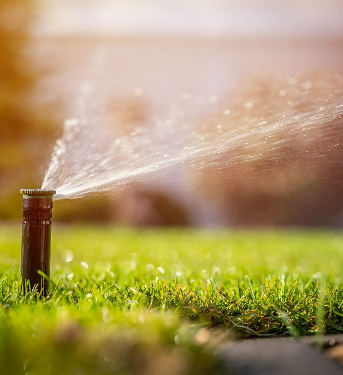 Un arrosage automatique et de l'herbe en gros plan.