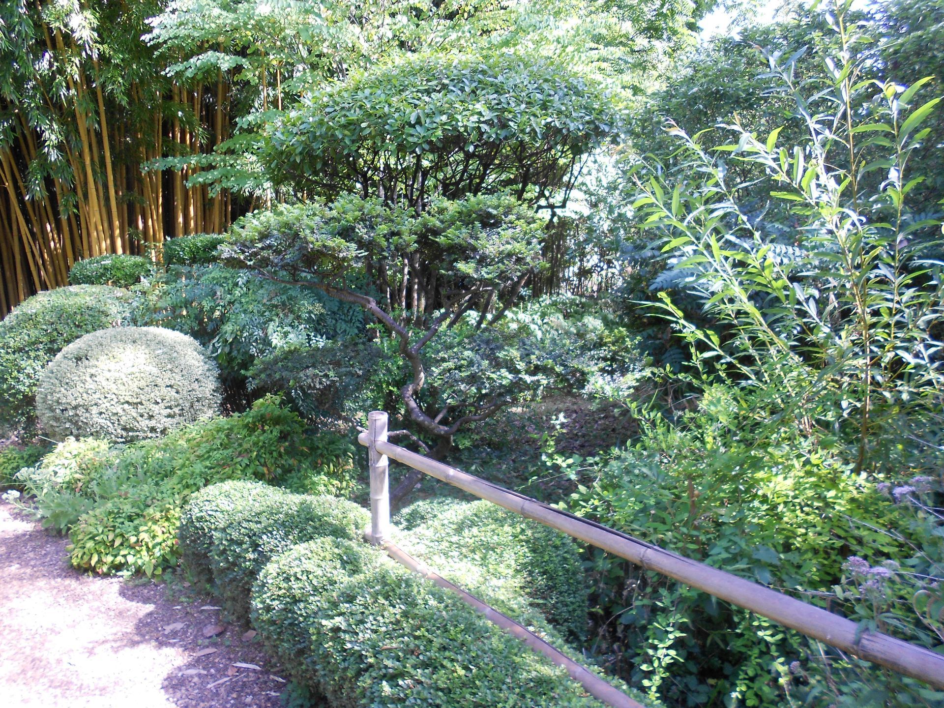 Un massif végétal.