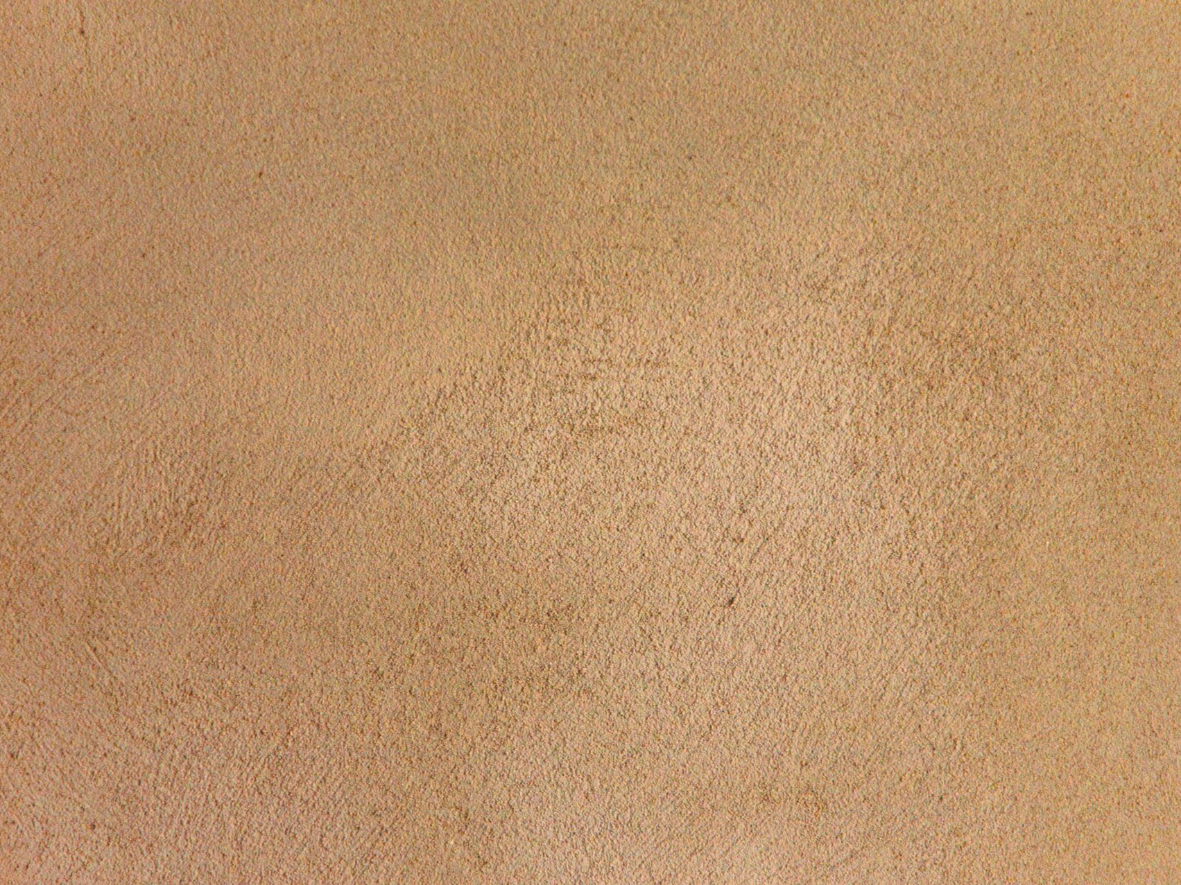 Gros plan d'une surface texturée, brun clair, ressemblant à du liège ou à un matériau sableux à grain fin.