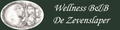 De Zevenslaper