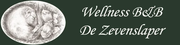 De Zevenslaper