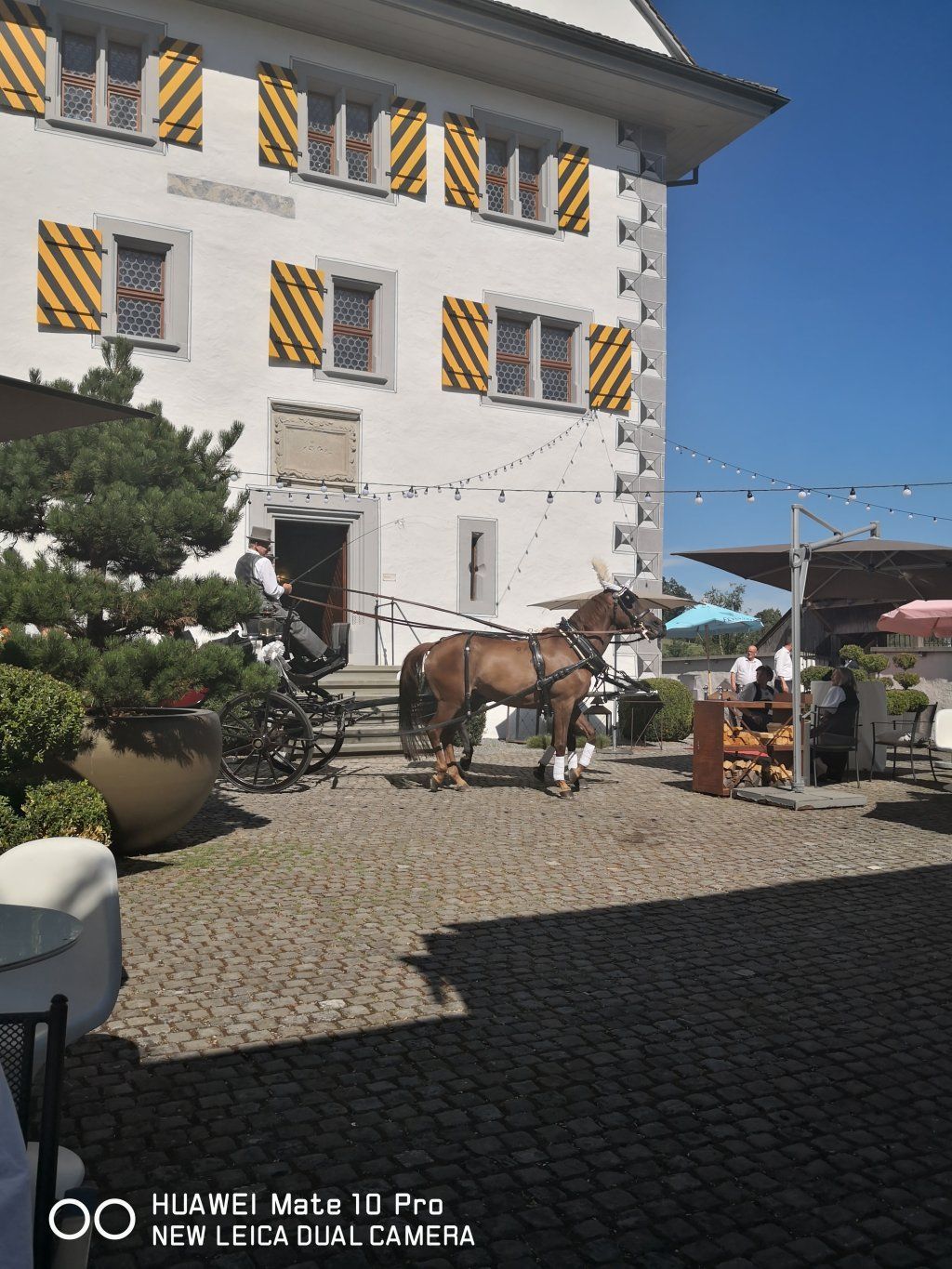 St. Niklaus Trichlerverein