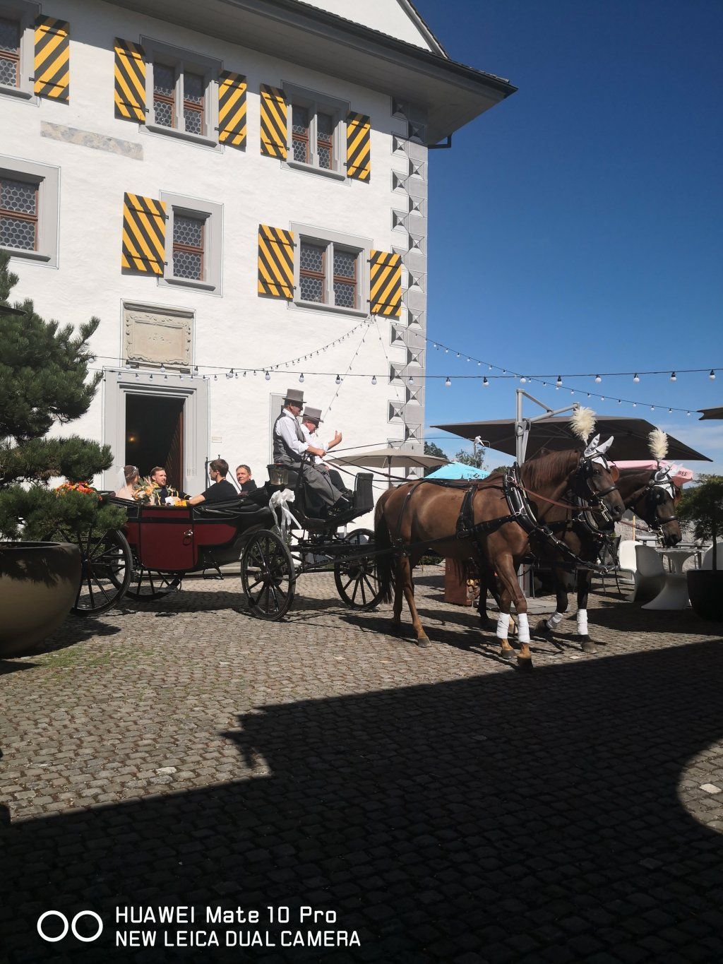 St. Niklaus Trichlerverein