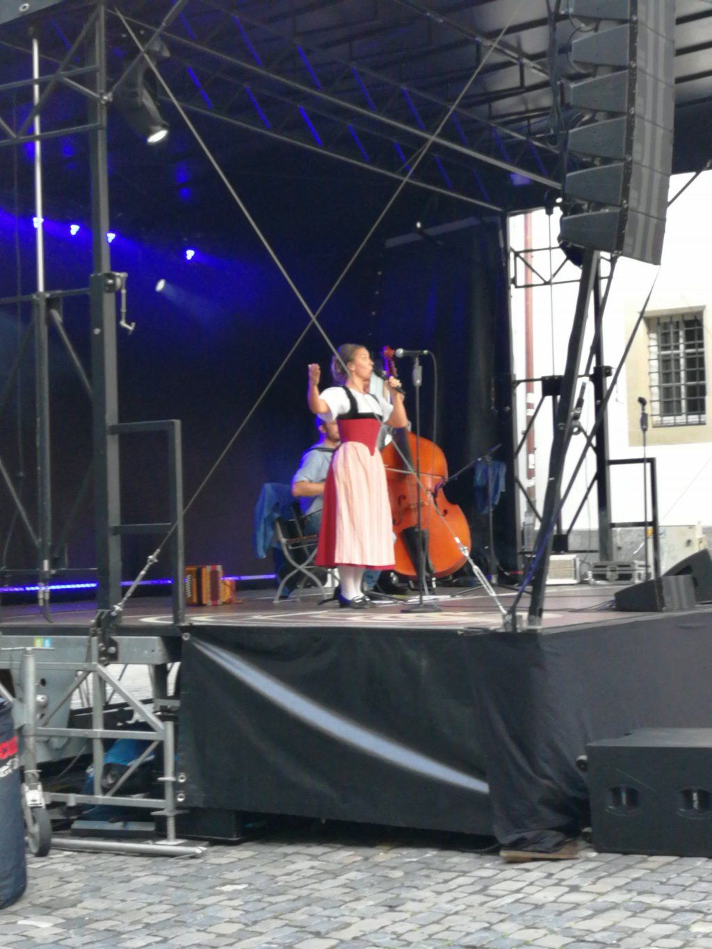 St. Niklaus Trichlerverein