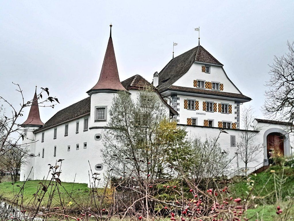 St. Niklaus Trichlerverein