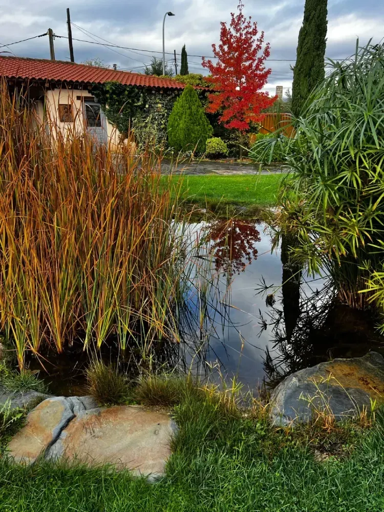 Estanque con el reflejo de un árbol rojo intenso. Vegetación exuberante y un pequeño edificio al fondo.