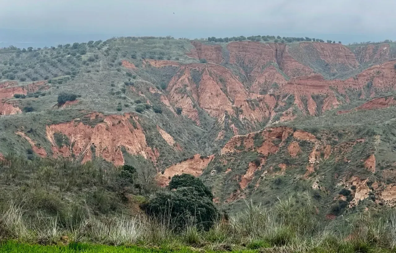 Paisaje montañoso estratificado en tonos rojos y grises con vegetación escasa.