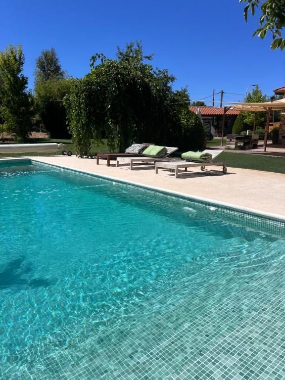 Una piscina rectangular con agua turquesa, tumbonas junto a la piscina y exuberantes árboles verdes bajo un cielo azul.