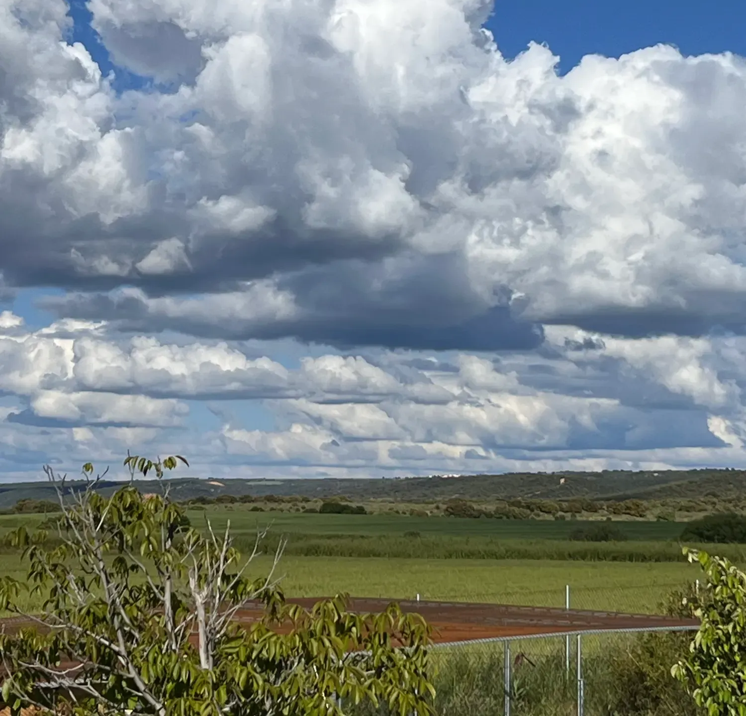 Campo verde bajo un cielo azul nublado, con algunos árboles en primer plano.