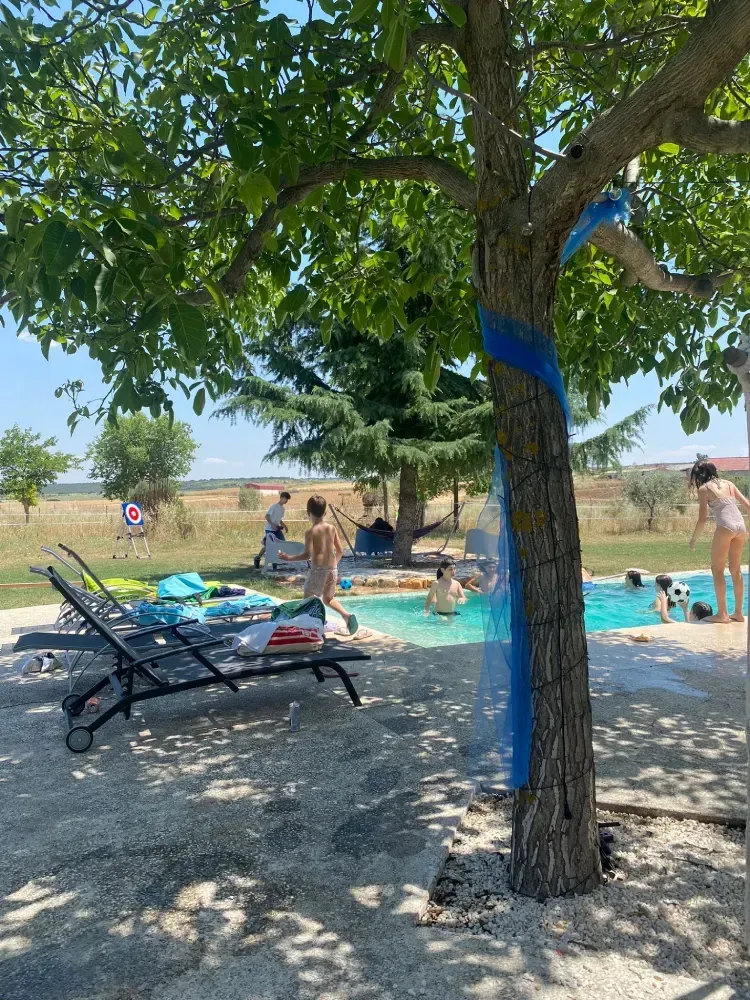 Gente nadando en una piscina bajo un árbol en un día soleado. Hay tumbonas cerca.
