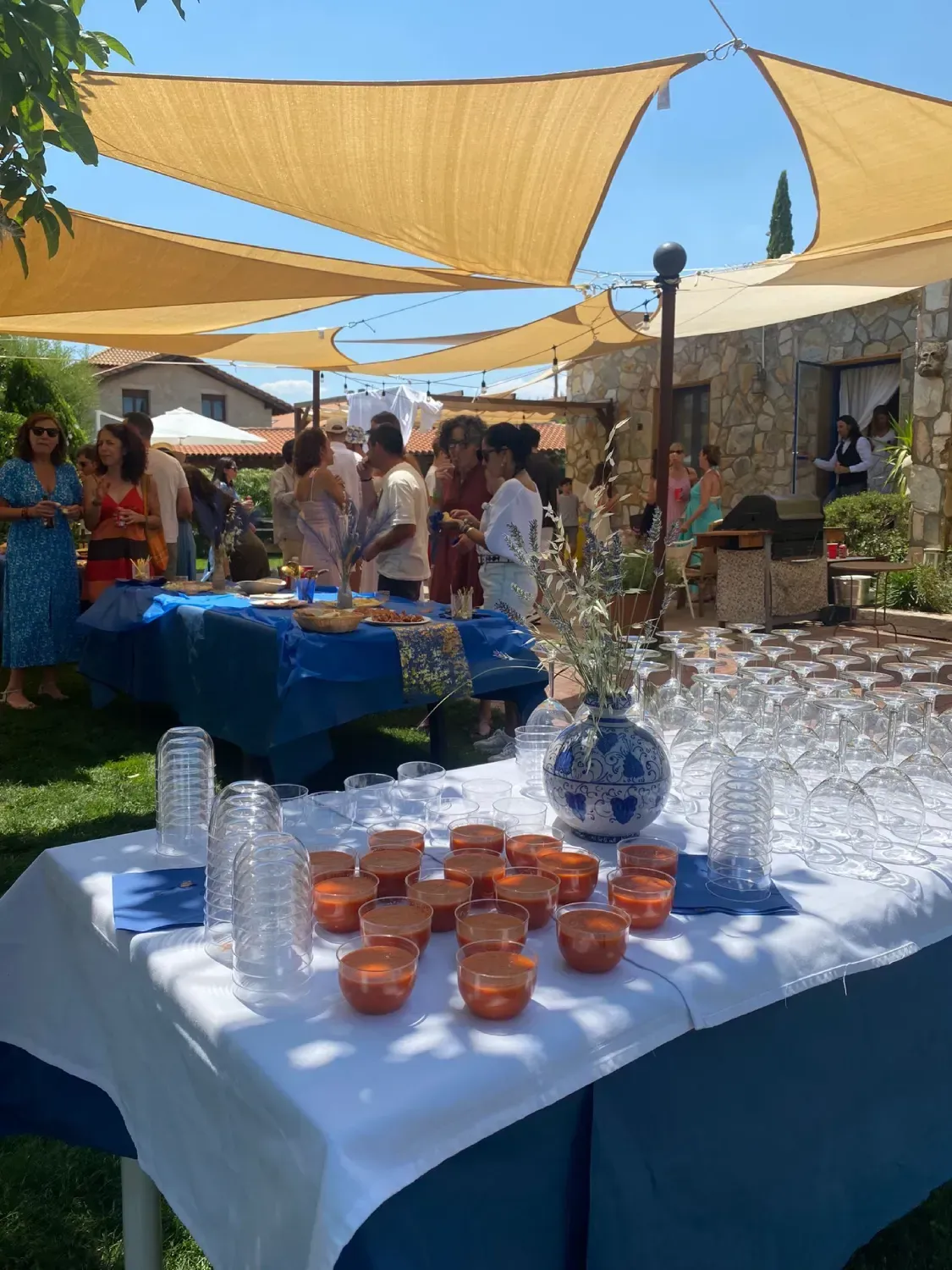 Fiesta al aire libre con comida y bebida. La gente se reunió a la sombra.