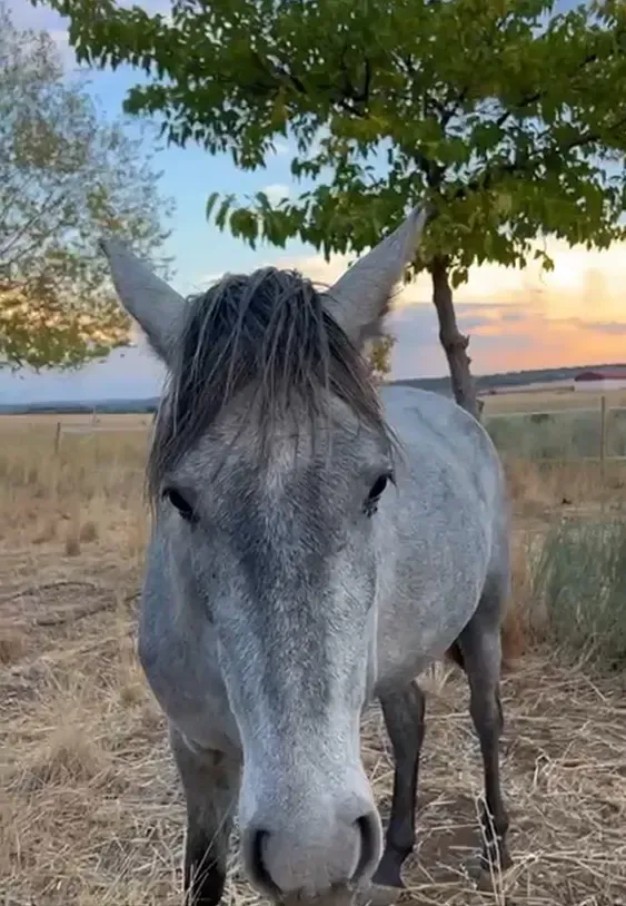Mujer meditando al aire libre con montañas y cielo azul de fondo.
