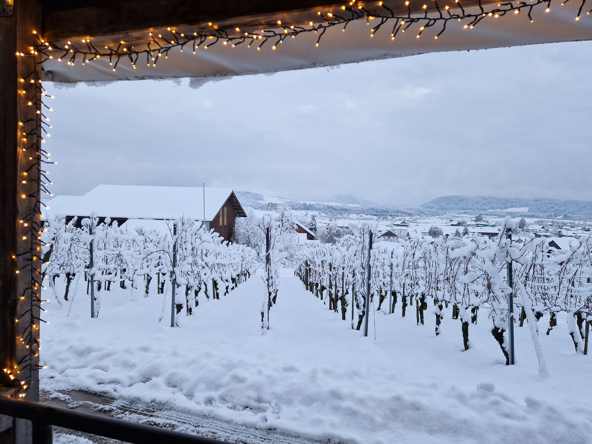  Weingut Sonnenberg GmbH - Michael Angst