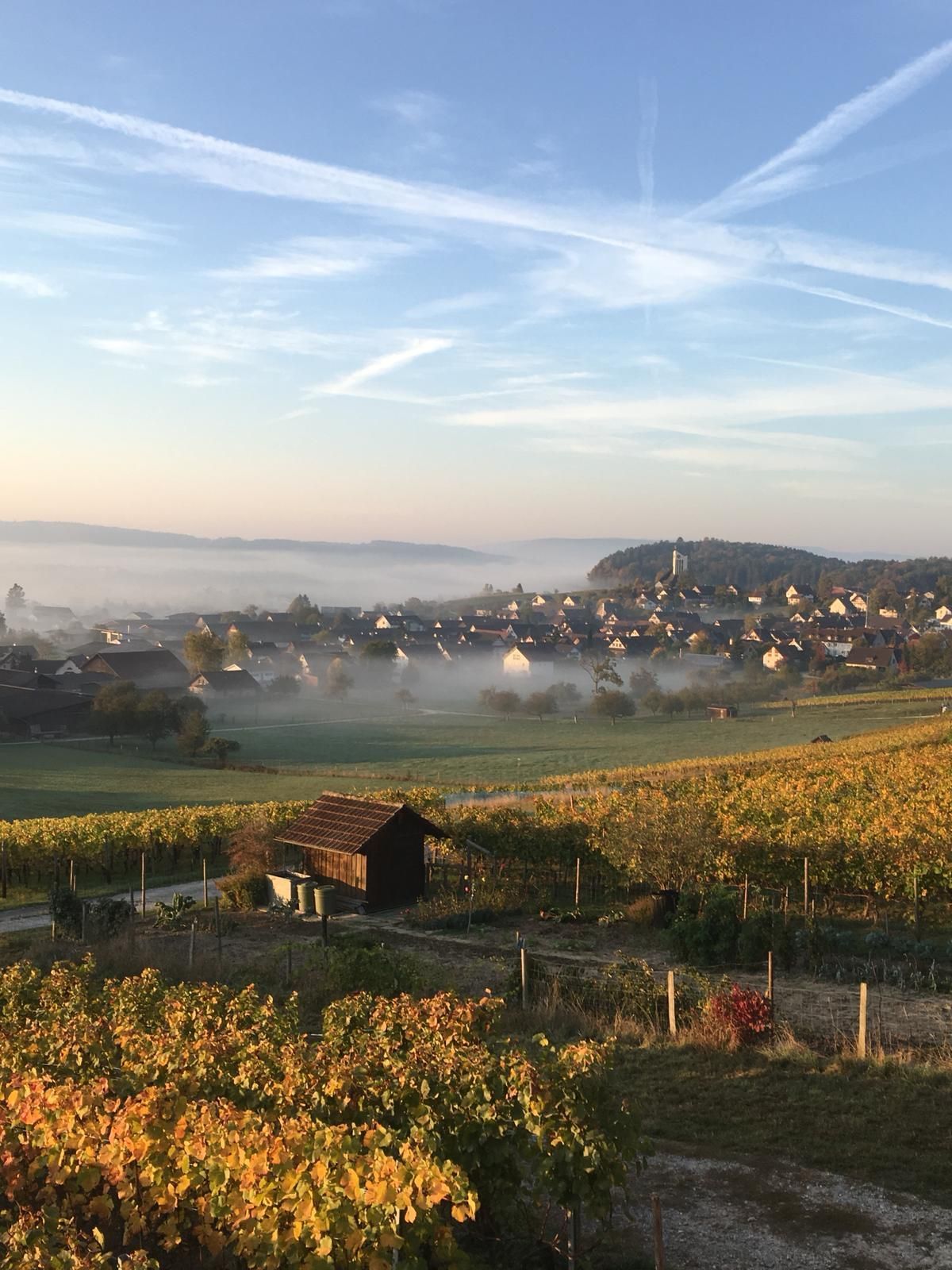 Weingut Sonnenberg GmbH - Michael Angst