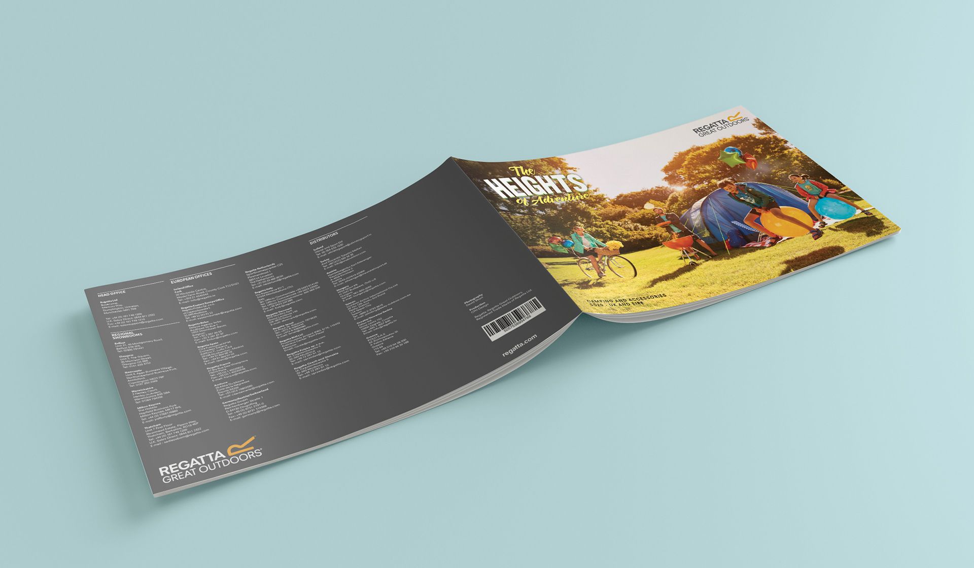 An open booklet showing a grey page with text on the left and a colorful, illustrated forest scene on the right.