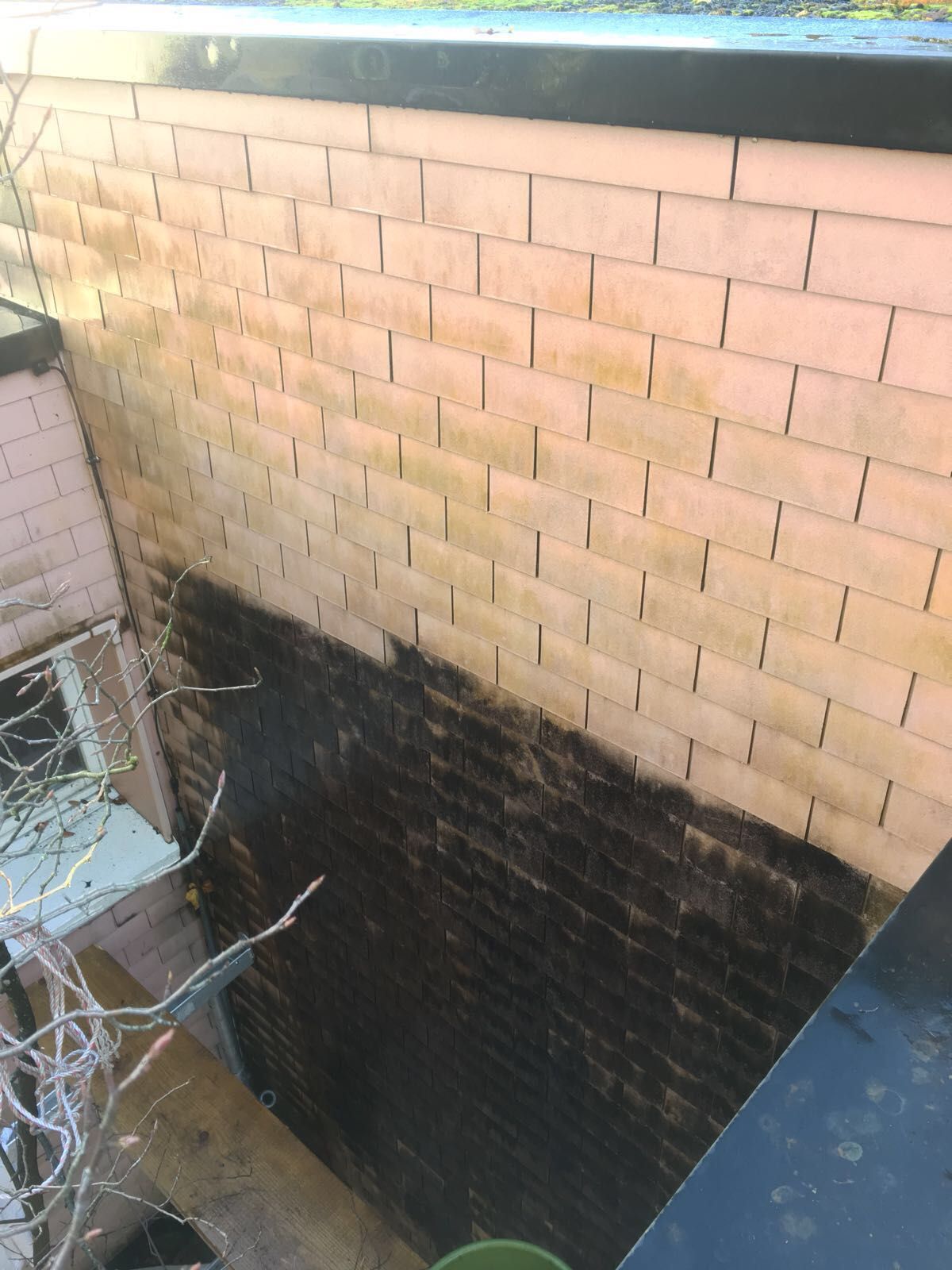 ABBAmousse - Neuhaus Dach GmbH 6