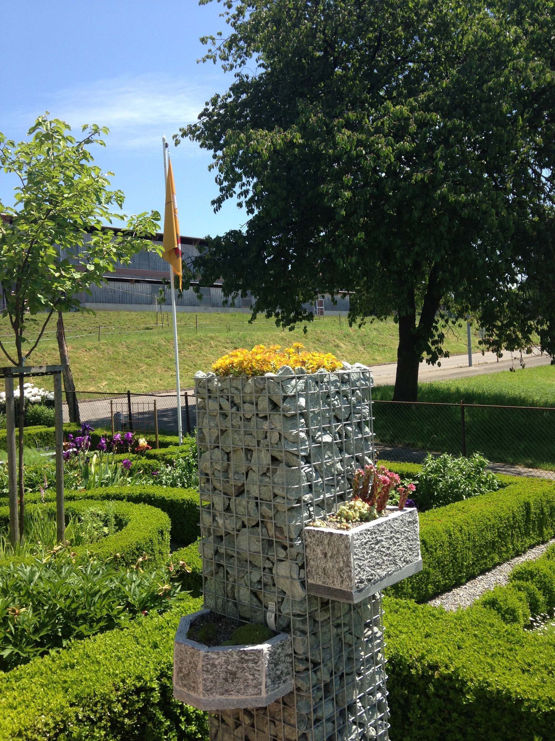 Baumkönig Baumpflege Patrick Zahno