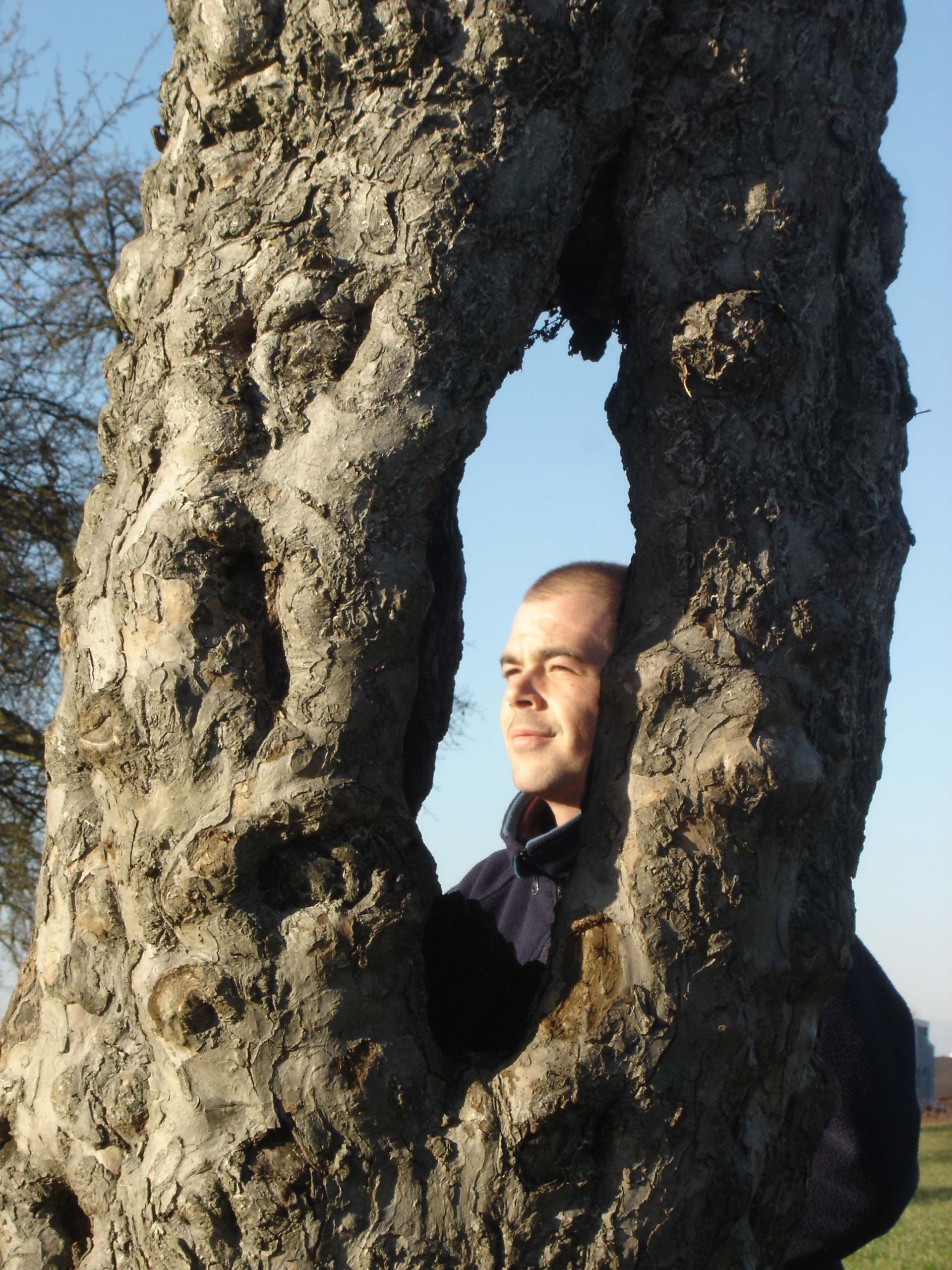 Baumkönig Baumpflege Patrick Zahno