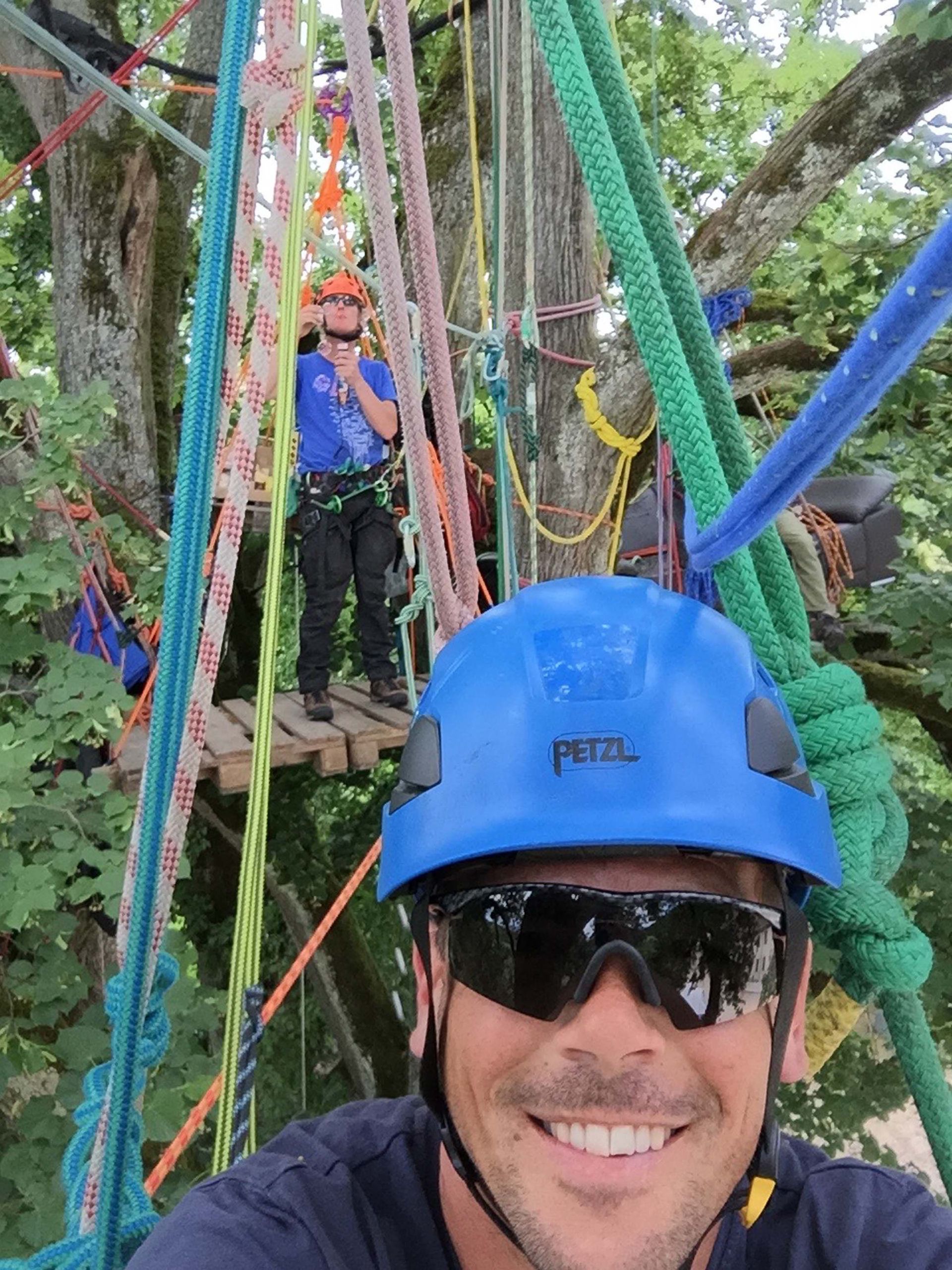 Baumkönig Baumpflege Patrick Zahno ist Ihr Baumpflegespezialist mit eidg. FA