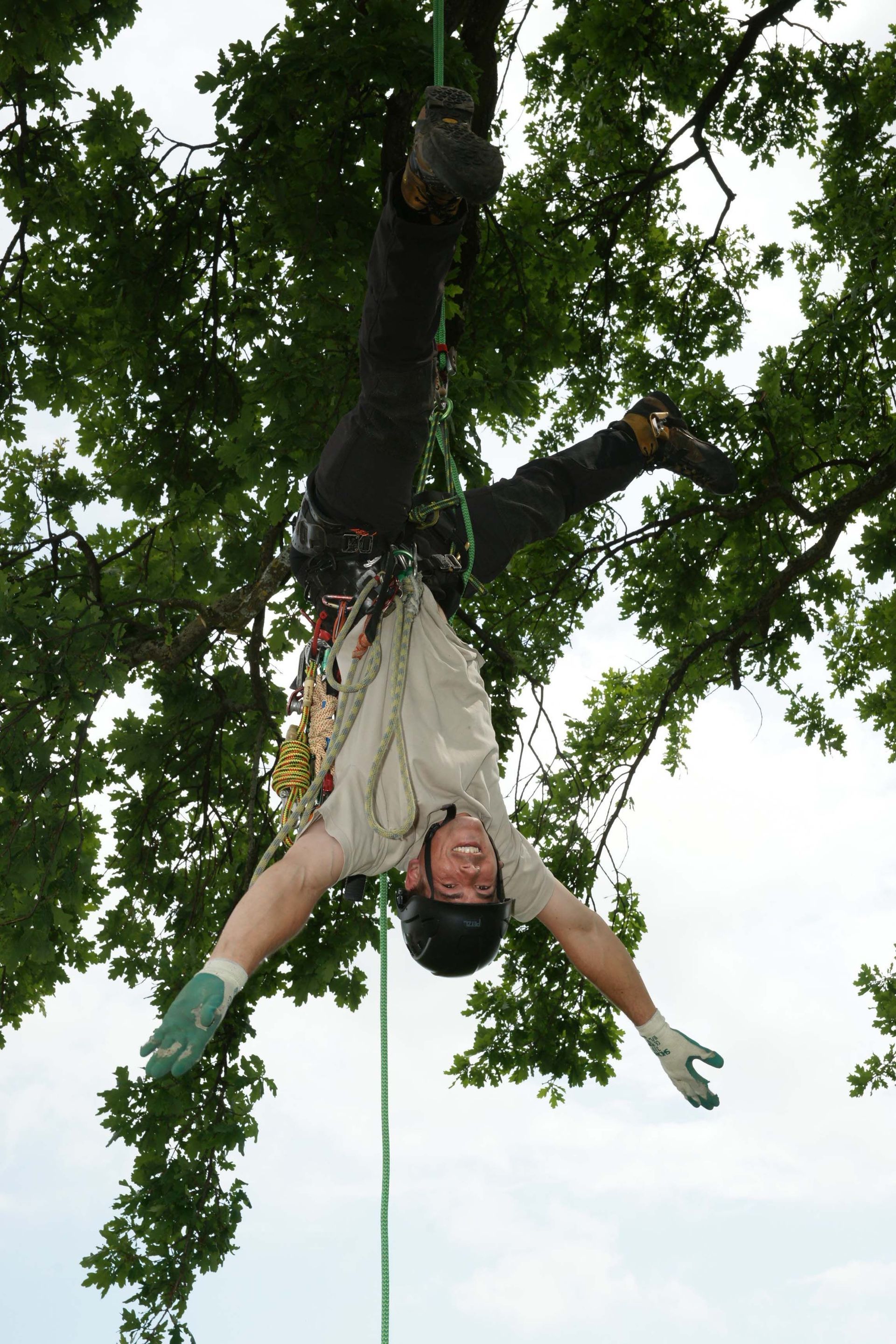 Baumkönig Baumpflege Patrick Zahno ist Ihr Baumpflegespezialist mit eidg. FA
