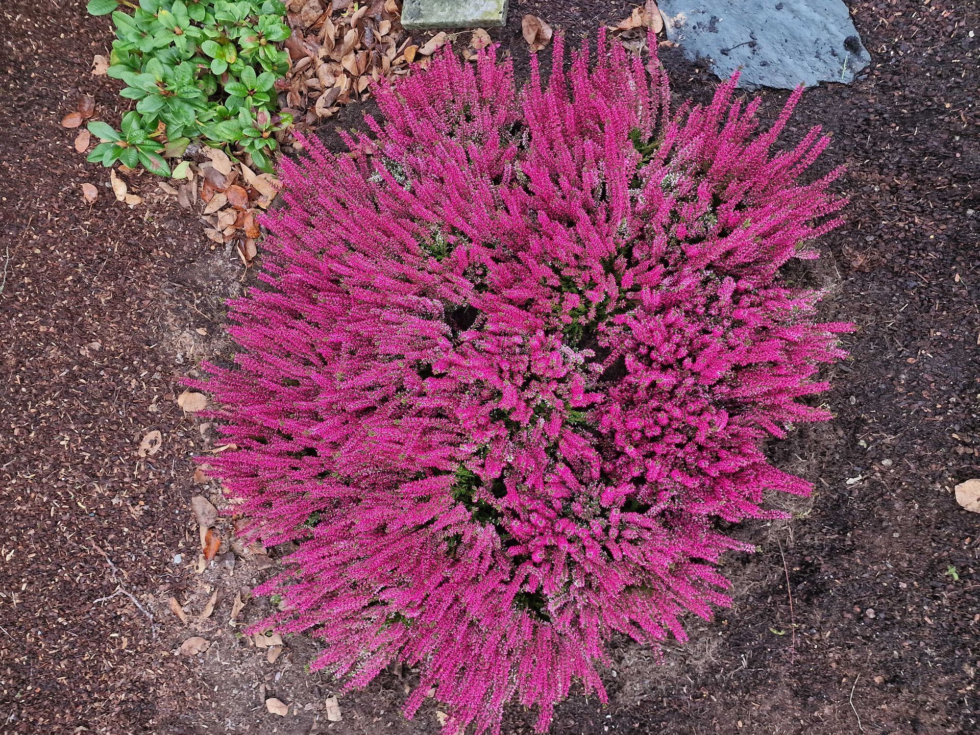 Florales Gesteck für Friedhof und Gedenkstätten mit dezenten Blumen und Grünpflanzen