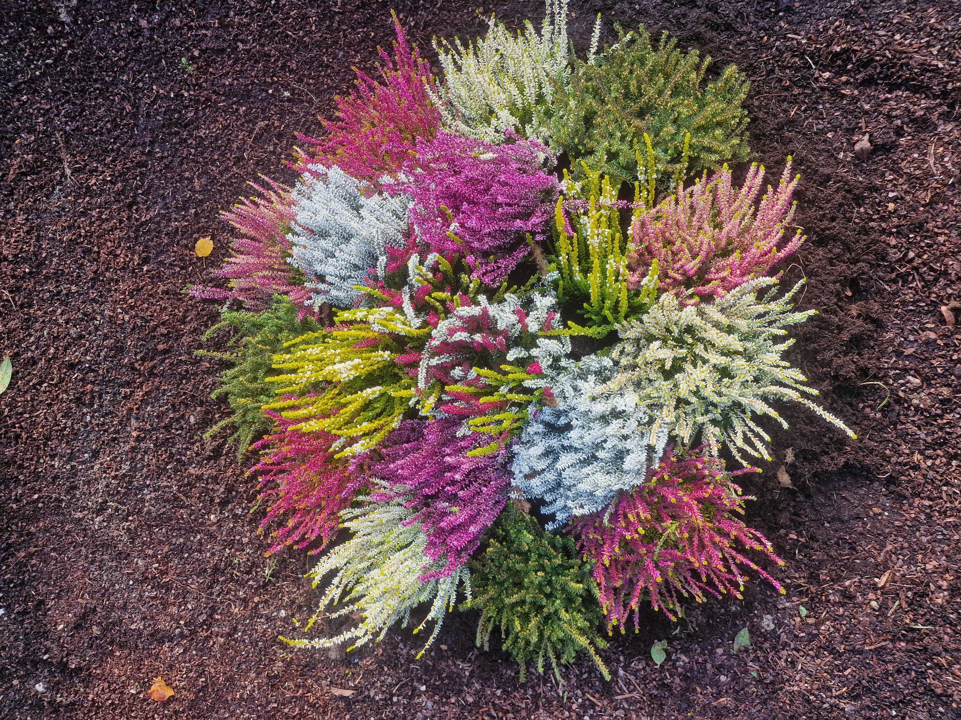 Florales Gesteck für Friedhof und Gedenkstätten mit dezenten Blumen und Grünpflanzen