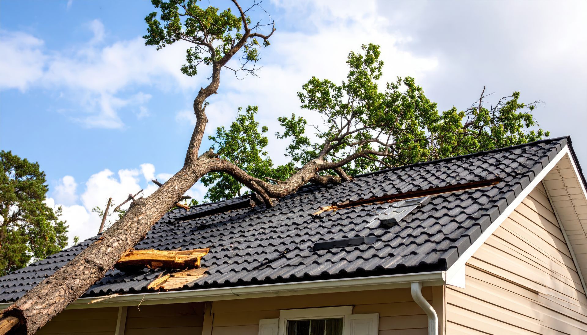 Une branche d'arbre est tombée sur le toit d'une maison, causant des dégâts.