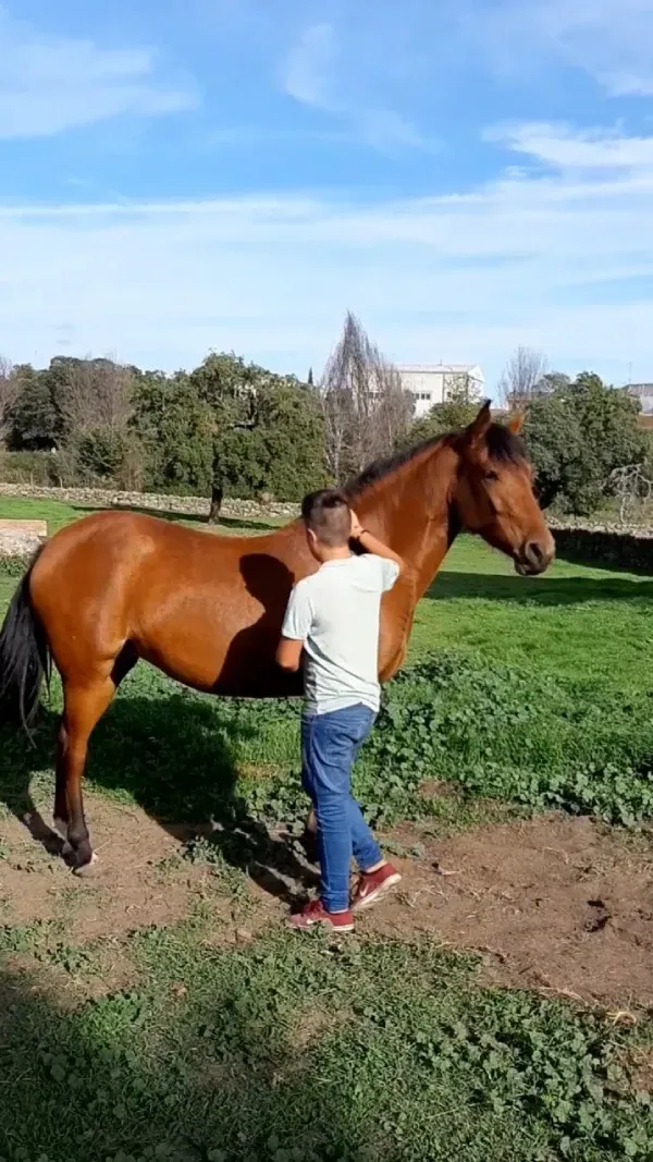 Persona con camisa blanca de pie junto a un caballo marrón en un campo de hierba bajo un cielo azul.