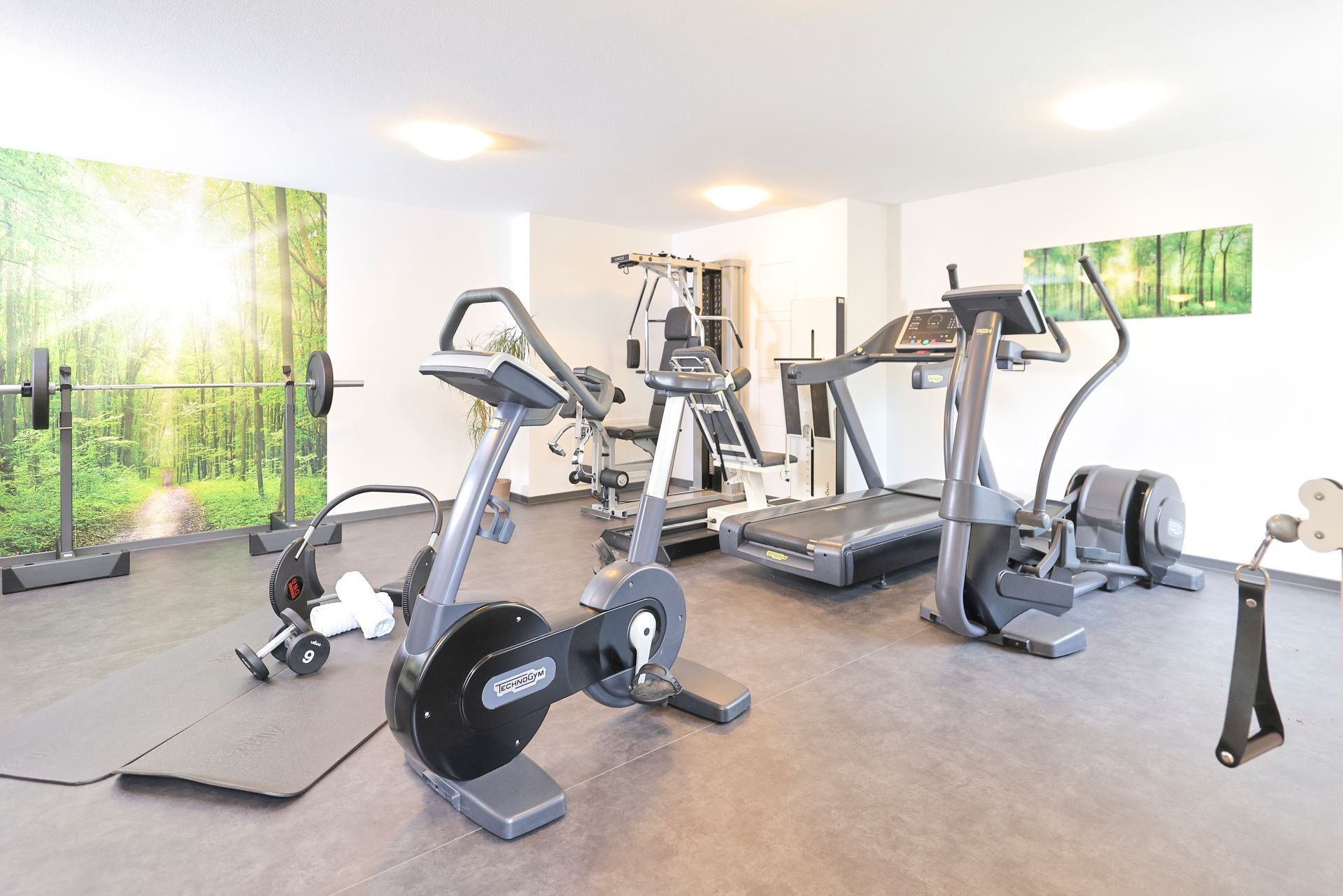 Innenraum eines Fitnessstudios mit Trainingsgeräten vor einem Wandgemälde mit einem Wald im Sonnenlicht.