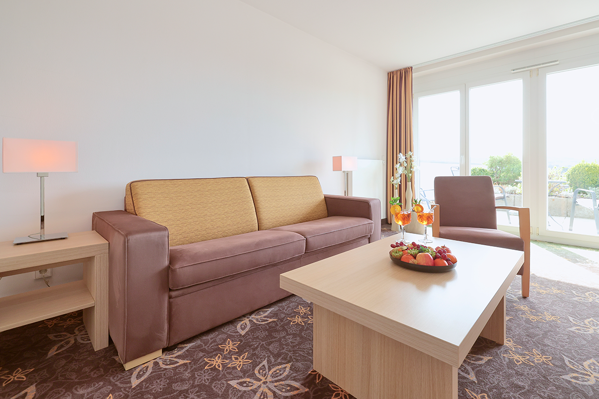 Wohnzimmer mit Sofa, Tisch, Stuhl, Teppich und Blick nach draußen.