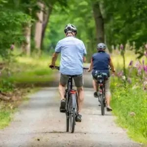 Zwei Personen fahren mit dem Fahrrad auf einem von Bäumen gesäumten Weg.