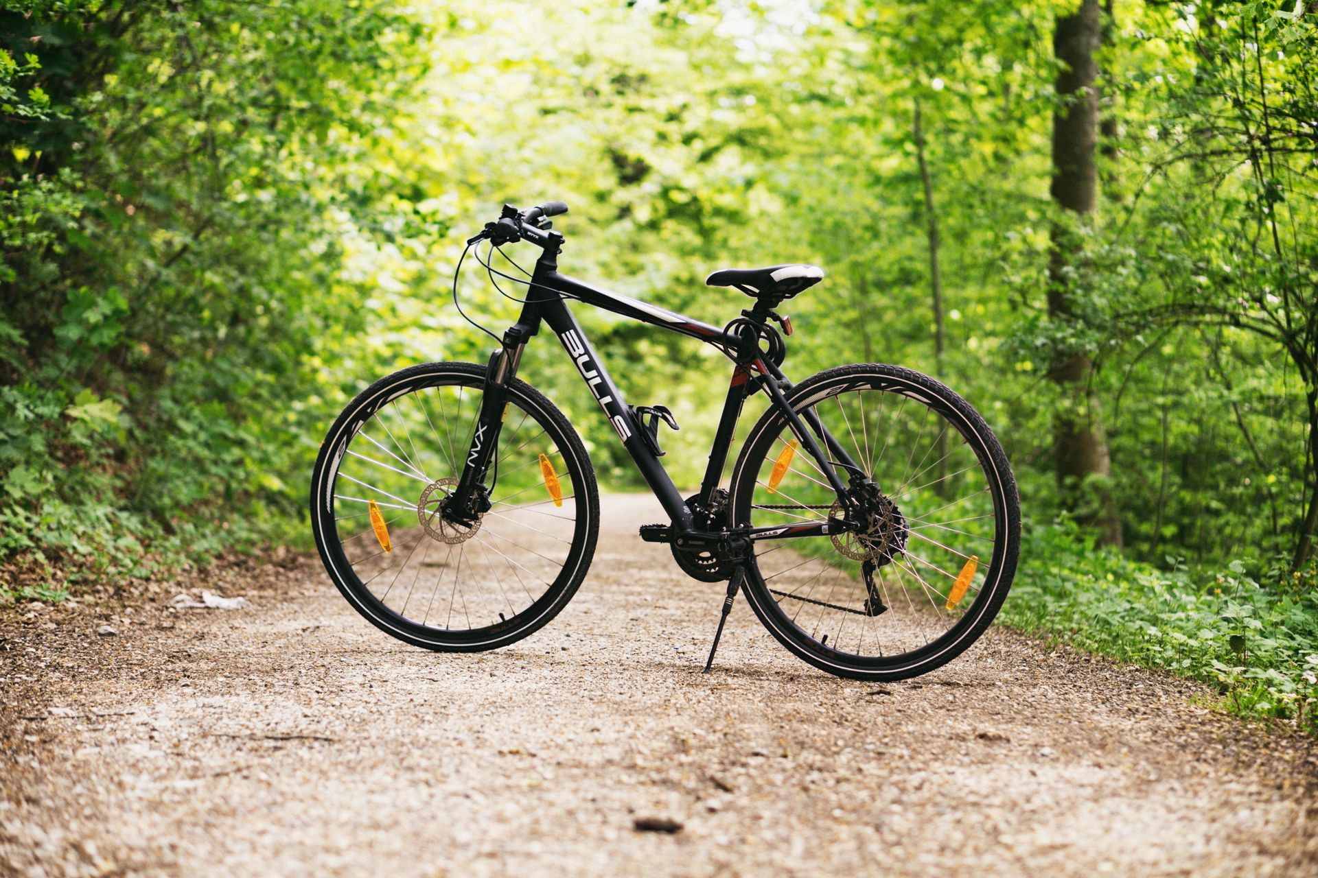 Schwarzes Fahrrad auf einem Feldweg in einer grünen Waldlandschaft mit Sonnenlicht.