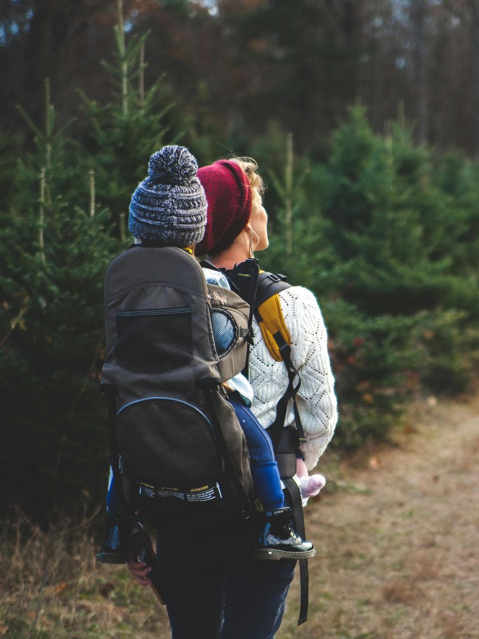 Frau trägt ein Kind in einer Rucksacktrage, beide tragen Hüte und blicken zu den Bäumen in einem Wald hinauf.