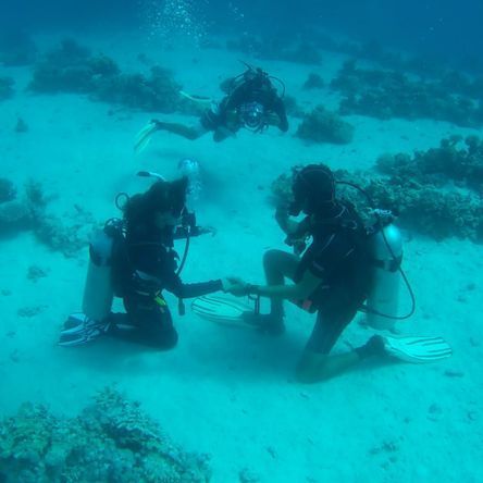 Baptême de plongée en Suisse - MP Scuba Diving