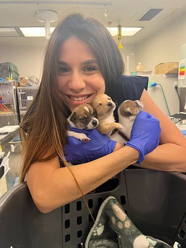 Κτηνίατρος Χανδράς Κωνσταντίνος - Vet Practice