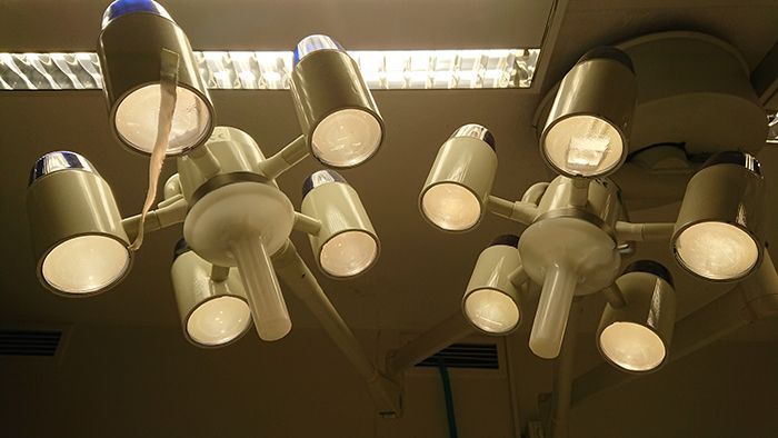 Κτηνίατρος Χανδράς Κωνσταντίνος - Vet Practice